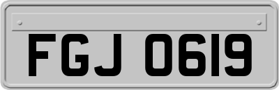 FGJ0619