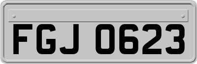 FGJ0623
