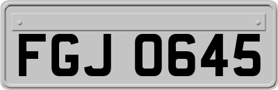 FGJ0645