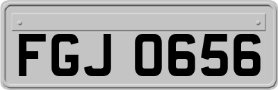 FGJ0656