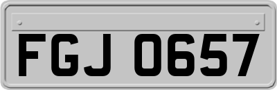 FGJ0657