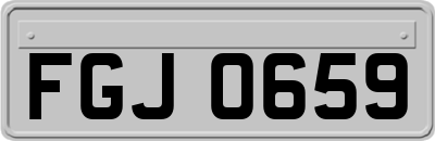 FGJ0659