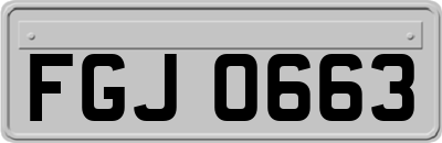 FGJ0663