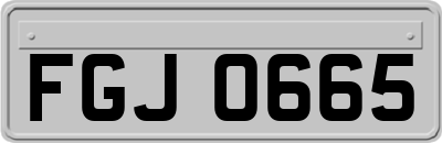 FGJ0665