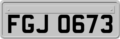 FGJ0673