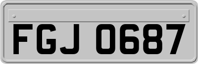 FGJ0687