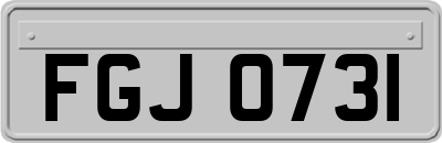 FGJ0731