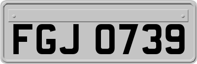 FGJ0739