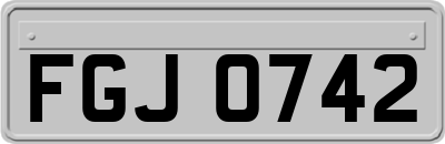 FGJ0742