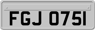 FGJ0751