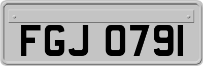 FGJ0791