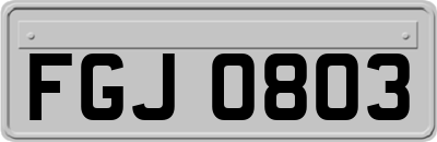 FGJ0803