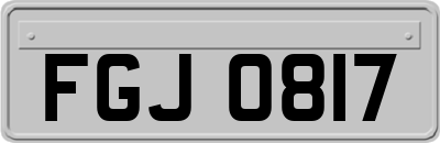 FGJ0817