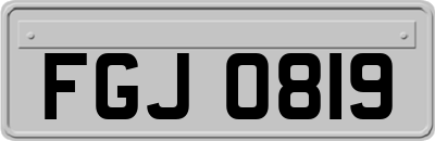 FGJ0819