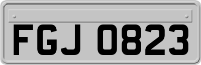 FGJ0823