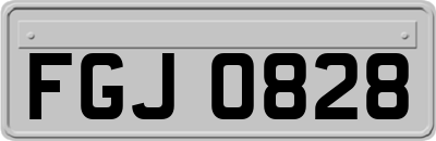 FGJ0828