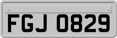 FGJ0829