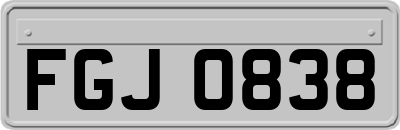 FGJ0838
