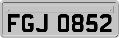 FGJ0852