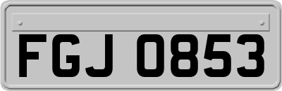FGJ0853
