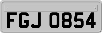 FGJ0854