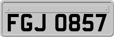 FGJ0857