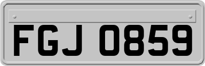 FGJ0859
