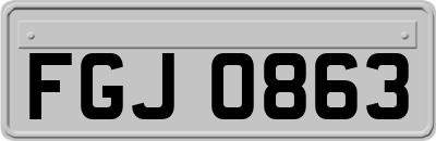 FGJ0863