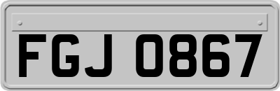 FGJ0867