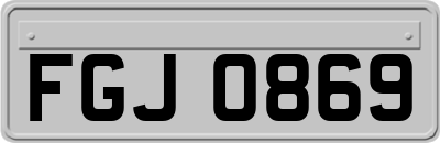 FGJ0869