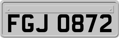 FGJ0872