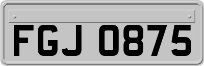 FGJ0875