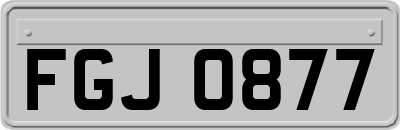 FGJ0877