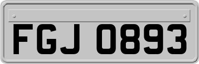 FGJ0893