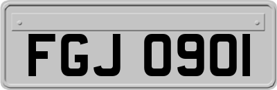 FGJ0901