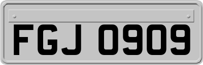 FGJ0909