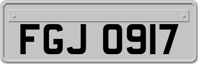 FGJ0917