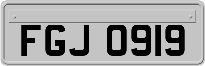 FGJ0919