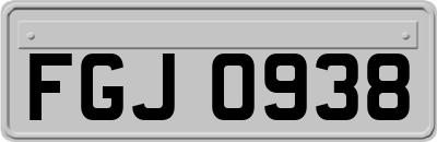 FGJ0938