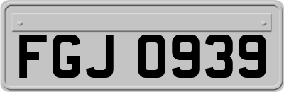 FGJ0939