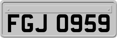 FGJ0959