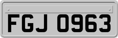 FGJ0963