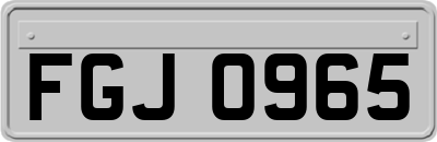 FGJ0965
