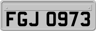 FGJ0973