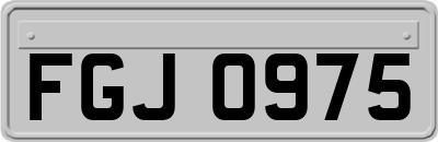 FGJ0975