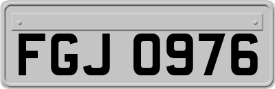 FGJ0976