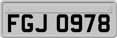 FGJ0978