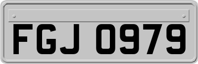 FGJ0979