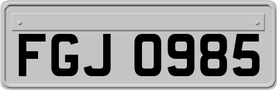 FGJ0985