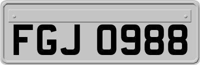 FGJ0988